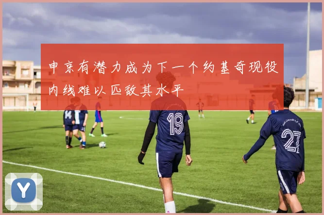 申京有潜力成为下一个约基奇现役内线难以匹敌其水平